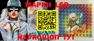 гидропоника Кунгур