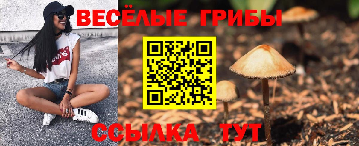 Галлюциногенные грибы GOLDEN TEACHER  Вход с VPN  Елец 